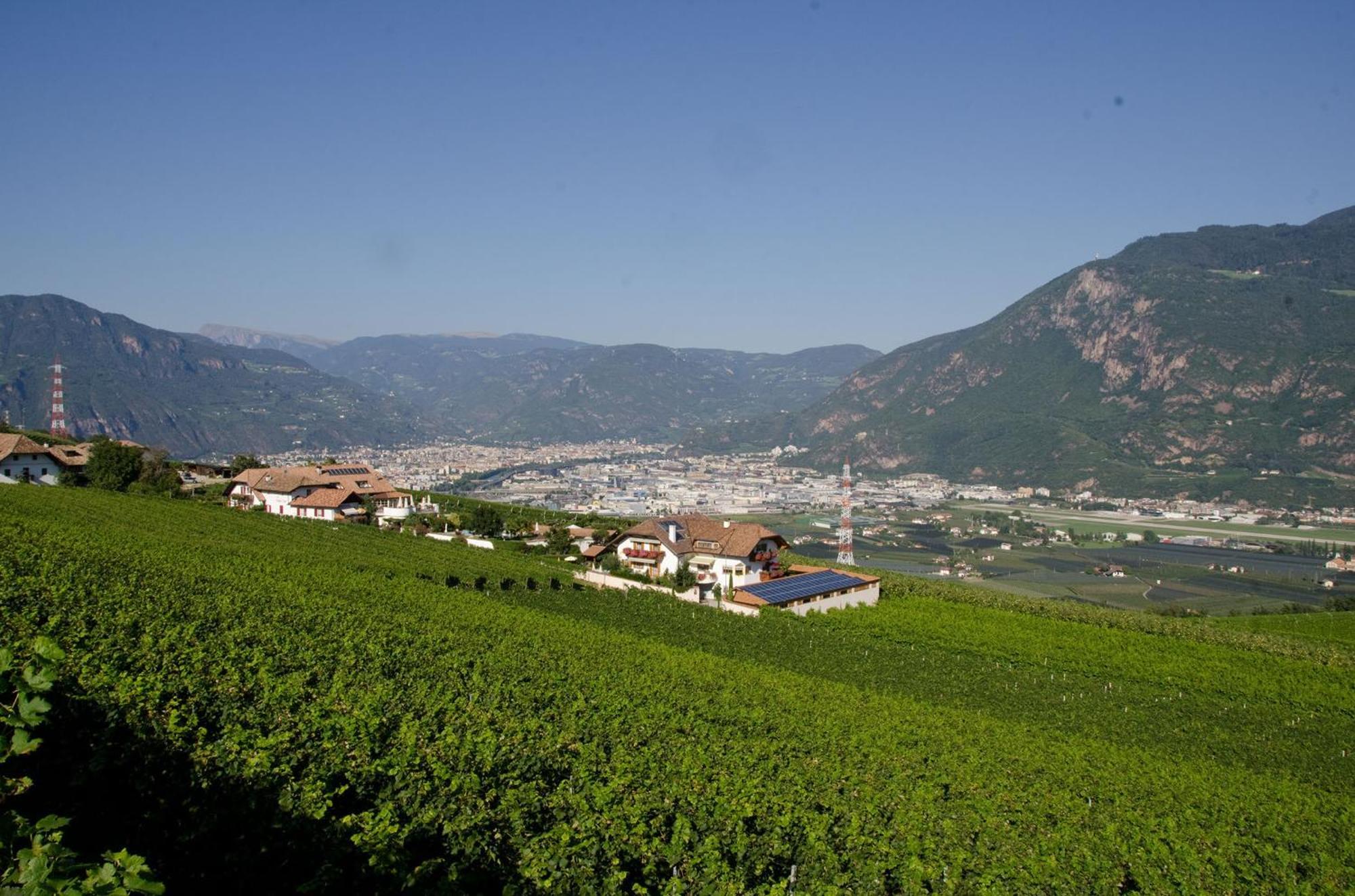 Ferienwohnungen Lanserhof Appiano Sulla Strada Del Vino Εξωτερικό φωτογραφία